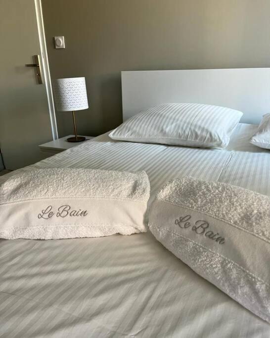 Vigne Et Mer-Spacieux Appartement Haussmannien-2Chambres-Wifi Béziers Eksteriør bilde